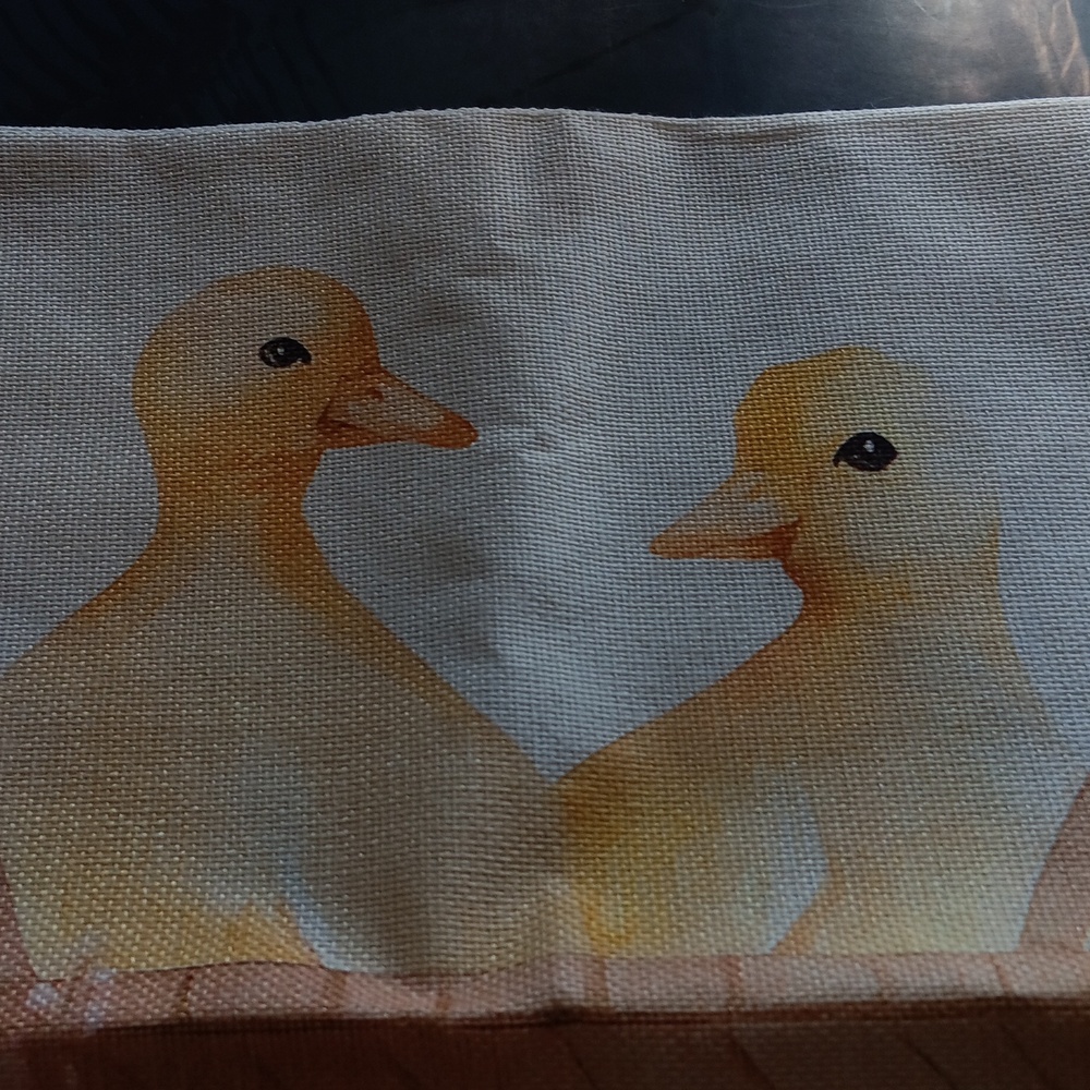 Spring chick'sPillow Cover - Picture 2 of 6